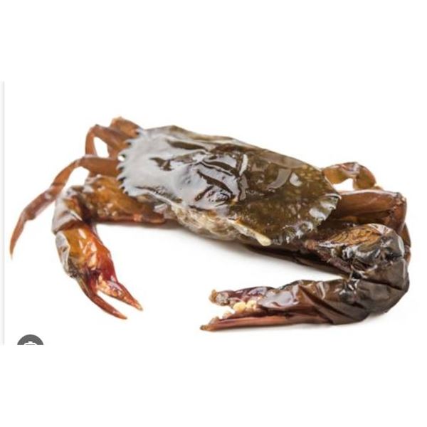 Frozen Soft Shell Crab (Scylla Serrata) 1 Kg
