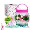 Image 1 : DIY Terrarium Kit with Unicorn Design