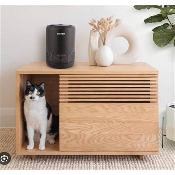 Slevoo Air Purifier Model BS-01 with Three-Layer Filtration System