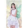 Image 1 : Green Fairy-Style Wings Set