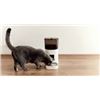 Image 1 : Smart Automatic Pet Feeder With Portion Control and Timer Function