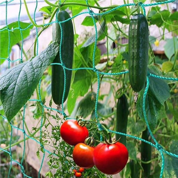 Trellis Netting for Climbing Plants – Heavy Duty Garden Trellis Netting for Cucumber, Vine,