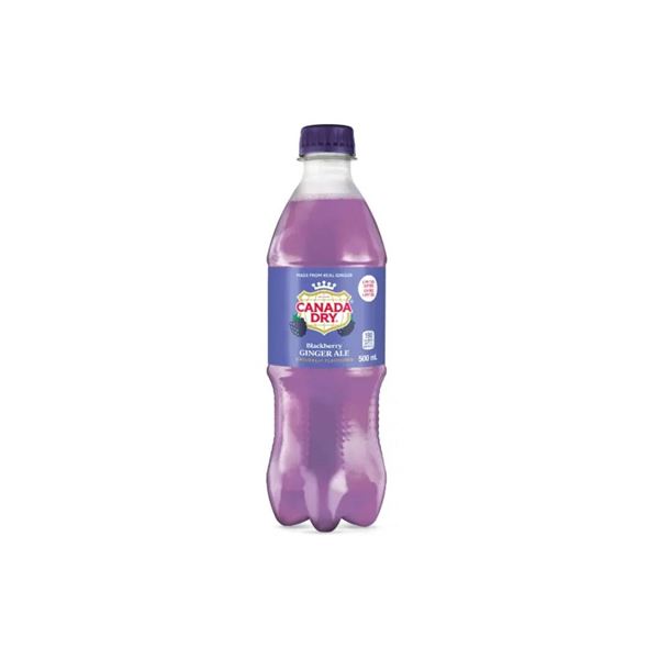 Canada Dry Blackberry Ginger Ale, 500 mL Bottles (24-Pack)