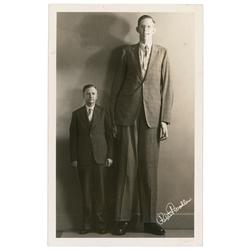 Robert Wadlow