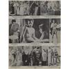 Image 15 : Hollywood
