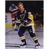 Image 1 : Brett Hull