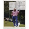 Image 1 : Arnold Palmer
