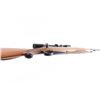 Image 10 : Winchester Model 70 .375 Wby Mag #182132