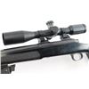 Image 5 : Remington 700 .308 Win #E6534518