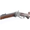 Image 8 : Sharps Rifle Co. 1874 .45 2 7/8 #161269