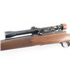 Image 4 : Winchester 70 7mm Newton #23487