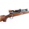 Image 8 : Winchester 70 7mm Newton #23487