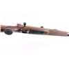 Image 9 : Winchester 70 7mm Newton #23487