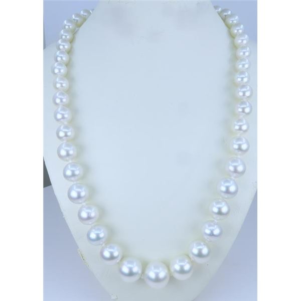 Cultured South Sea Pearl Necklace.