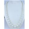 Image 1 : Cultured South Sea Pearl Necklace.
