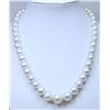 Image 3 : Cultured South Sea Pearl Necklace.