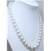 Image 4 : Cultured South Sea Pearl Necklace.