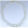 Image 6 : Cultured South Sea Pearl Necklace.