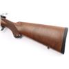 Image 3 : Ruger M77 Mark II .243 Win #790-41843