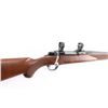 Image 7 : Ruger M77 Mark II .243 Win #790-41843
