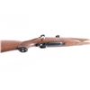 Image 8 : Ruger M77 Mark II .243 Win #790-41843