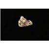 Image 1 : Natural Gold Nugget.