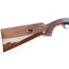 Image 6 : Browning SA-22 .22 LR #04262NZ146
