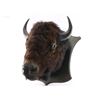 Image 3 : Antique Buffalo Head Mount.