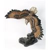 Image 2 : Eagle Bronze