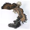 Image 4 : Eagle Bronze