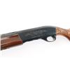Image 4 : Remington 1100 12 Ga #N891915M