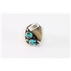 Image 1 : Bear Claw & Turquoise Ring.