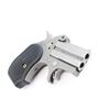 Image 3 : Bond Arms Stinger .380 ACP #SSS-010811