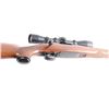 Image 4 : Winchester 54 .338-06 ACK 50644A