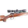 Image 7 : Winchester 54 .338-06 ACK 50644A