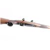 Image 8 : FN Mauser .30-06 #16437