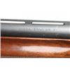 Image 5 : Remington 870 'Express Magnum' 12 Ga #D844312M