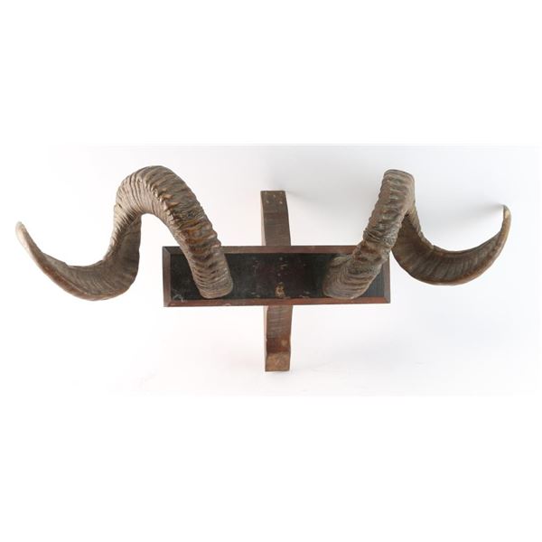 Ram Horn Mount