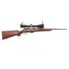 Image 1 : CZ 455 'American' .17 HMR #A824081