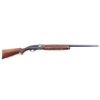 Image 1 : Remington 1100 12 Ga #N209863V