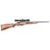 Image 1 : Zastava / USSG Remington 799 .22 Hornet
