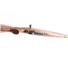 Image 8 : CZ 550 'American' 9.3x62mm #A049663