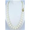 Image 1 : Classic Cultured Pearl Necklace.