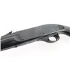 Image 4 : Remington Nylon 66 .22 LR #A2313918