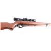Image 8 : Mossberg 151M(a) .22 LR NVSN
