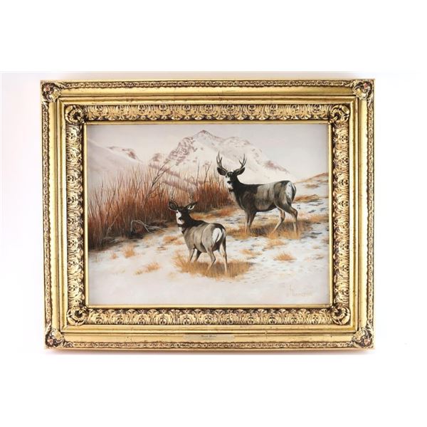 Original Oil on Canvas of Deer.