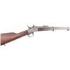 Image 6 : Remington No. 1 .43 Spanish