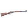 Image 2 : Henry Model H001Y .22 LR #Y071581H