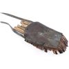 Image 5 : Butcher Set w/Fringed Leather Carrier.