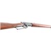 Image 7 : Marlin 'Original Golden' M39 .22 S/L/LR
